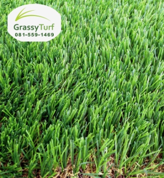 หญ้าเทียม GT-L1035