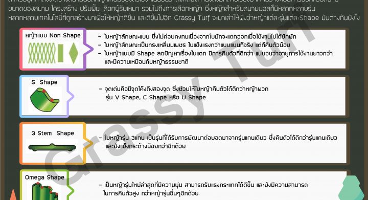 ลักษณะหญ้าเทียม