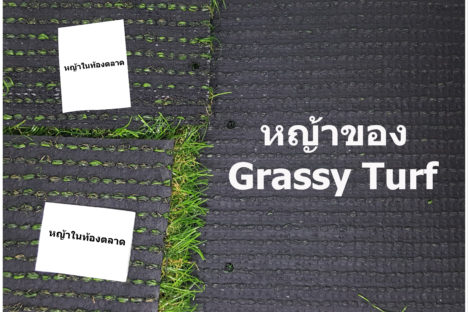 ไม่ใช่แค่ด้านหน้า ด้านหลังก็ต้องใส่ใจ!